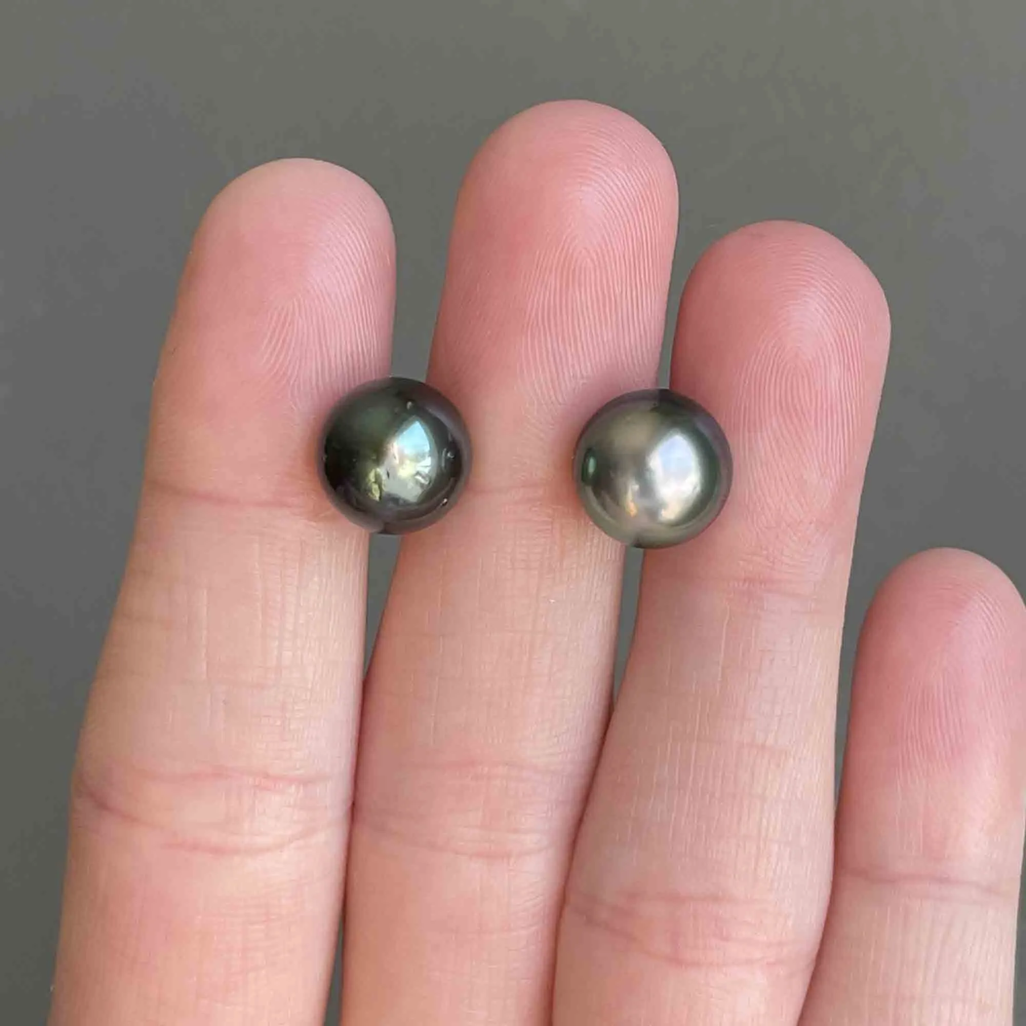 14K Gold Black Pearl Stud Earrings