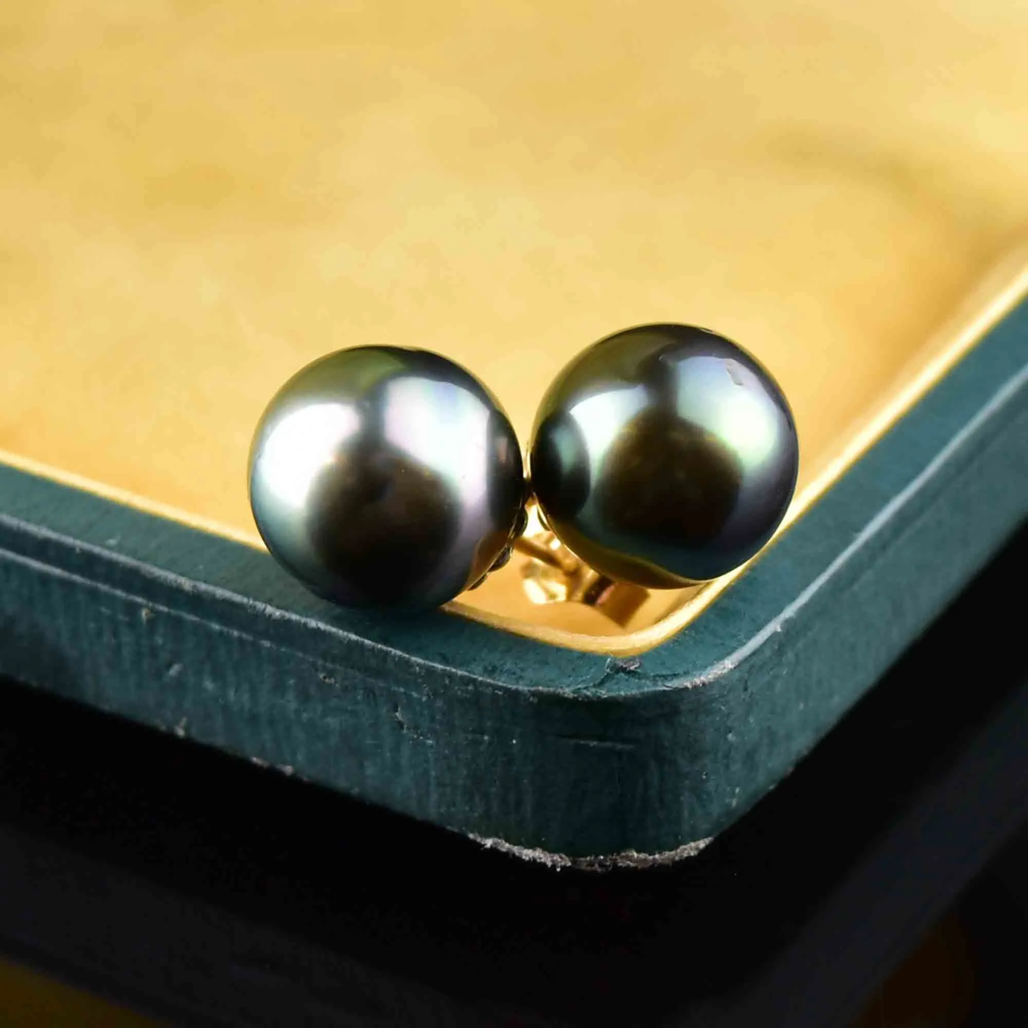 14K Gold Black Pearl Stud Earrings