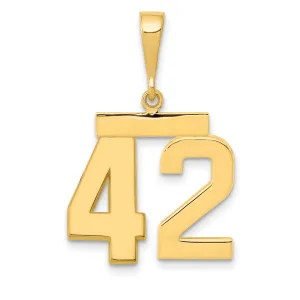 14k Yellow Gold Medium Polished Number 42 Charm