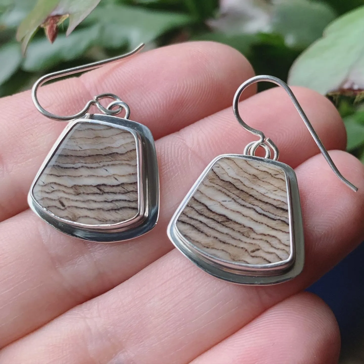 Fossil Sequoia and Sterling Silver Earrings