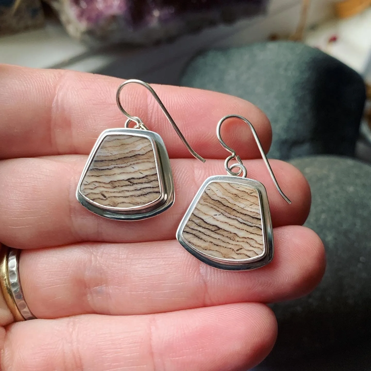 Fossil Sequoia and Sterling Silver Earrings