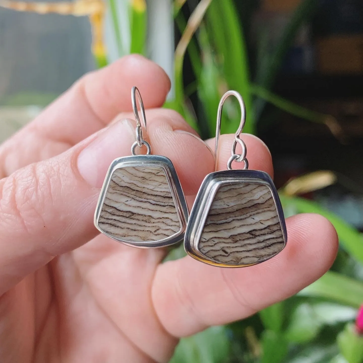 Fossil Sequoia and Sterling Silver Earrings