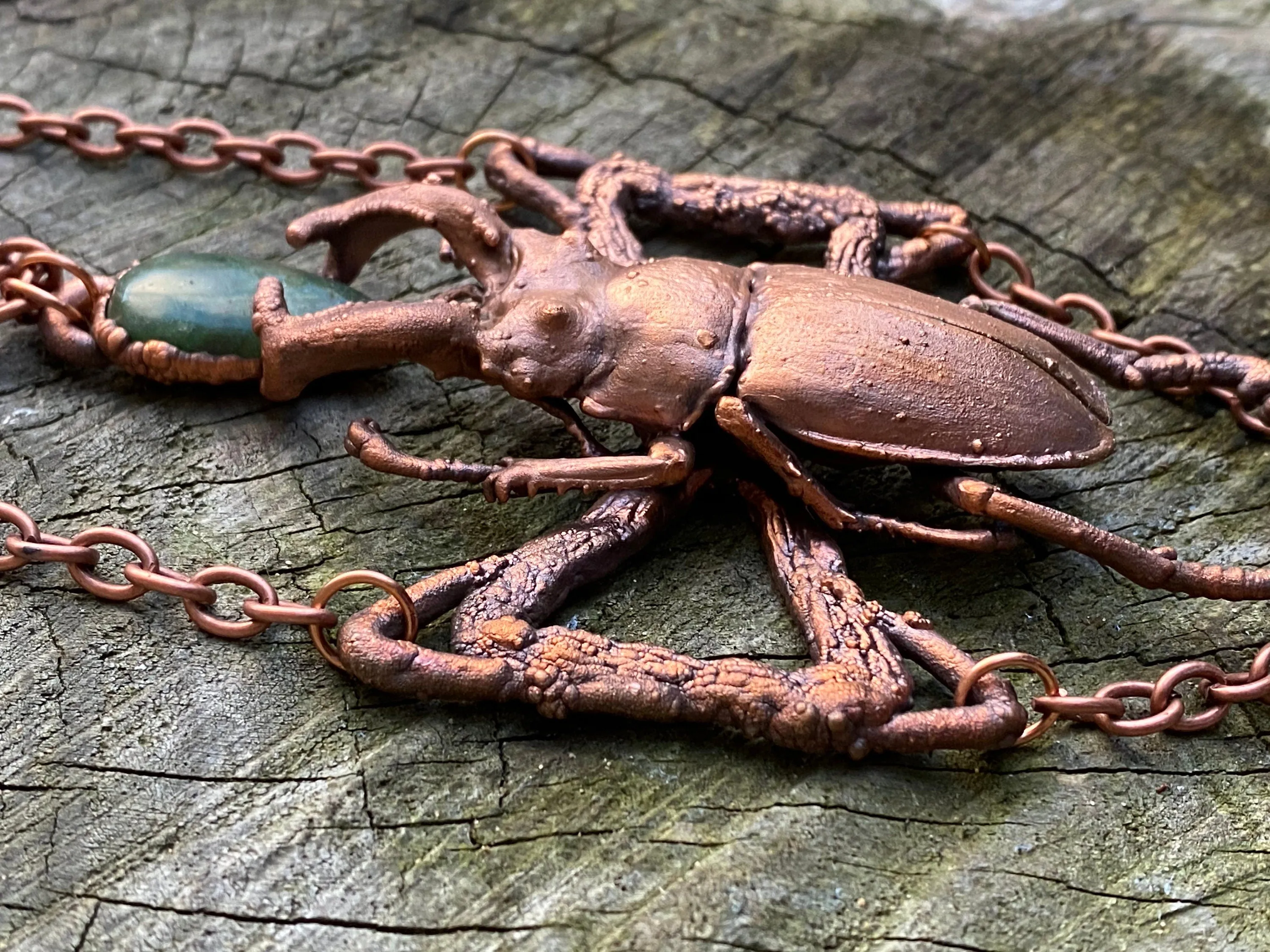 Real stag beetle and green jade